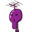 guest